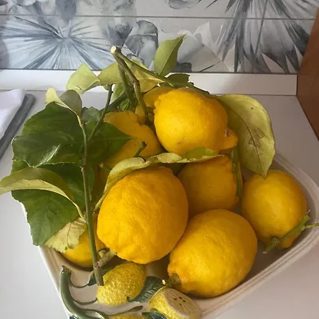 La Casa Nel Vicoletto Apartament Ischia